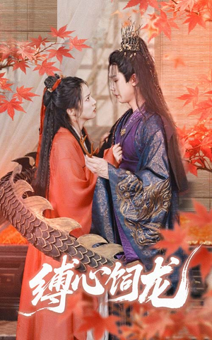 缚心饲龙（70集）火爆短剧来袭好看又上头的短剧