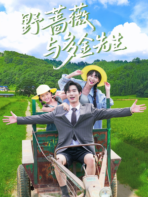 野蔷薇与多金先生（63集）短剧在哪个平台看