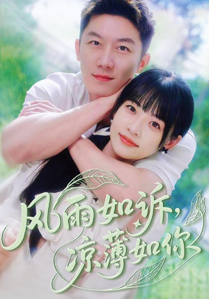 风雨如诉凉薄如你（70集）短剧推荐超甜网剧