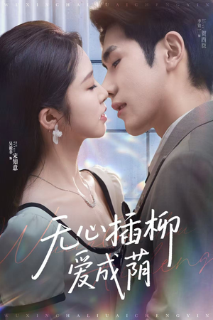 无心插柳爱成荫（80集）红果短剧免费看后续