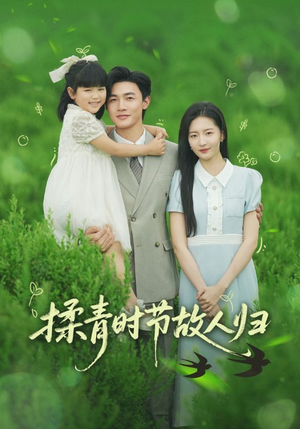 揉青时节故人归（60集）看完还想看的精彩短剧