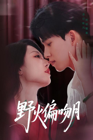 野火偏吻月（51集）免费观看最新热门短剧全集