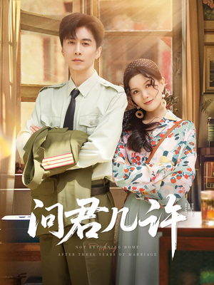 问君几许（91集）全集短剧免费观看无压力