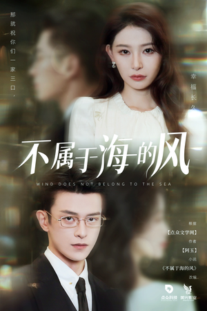 不属于海的风（40集）免费观看热门短剧大结局
