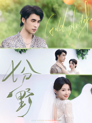 七分野（78集）短剧大结局太过瘾了