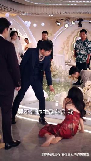 江山暗局藏锋（48集）在红果短剧app免费看