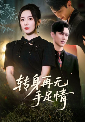 转身再无手足情（71集）独家短剧免费看