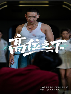 高位之下（65集）短剧合集导演剪辑版