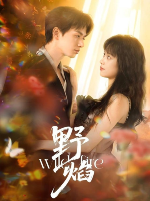 野焰（60集）红果短剧免费看荃集