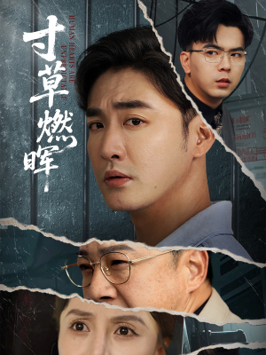 寸草燃晖（70集）红果短剧免费看全集