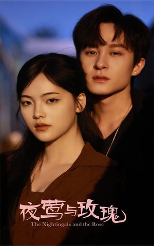 夜莺与玫瑰（60集）短剧高清画质免费体验