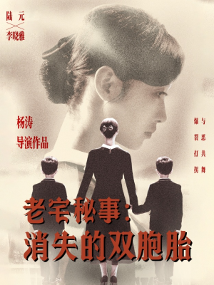 老宅秘事消失的双胞胎（90集）短剧全集幕后花絮版