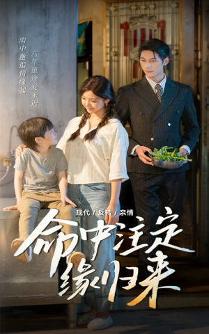 命中注定缘归来（63集）短剧全剧终在线连看