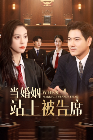 当婚姻站上被告席（30集）精彩短剧持续更新
