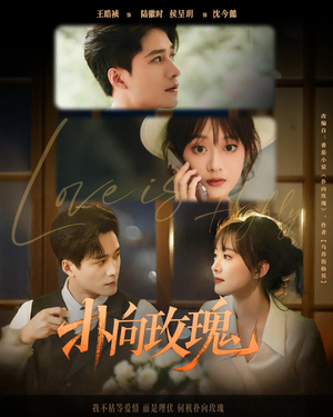 扑向玫瑰（77集）短剧全集VR沉浸版