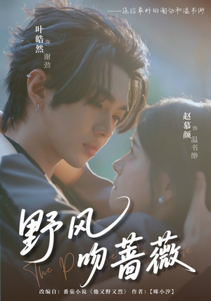 野风吻蔷薇（78集）这部短剧太好看