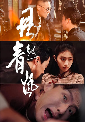 风起青岚（96集）短剧熬夜也想看完的短剧