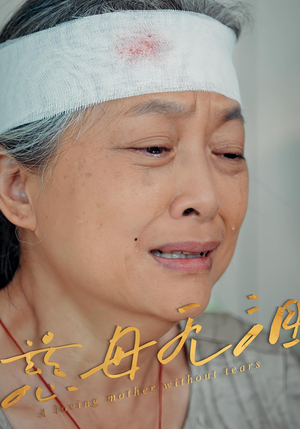 慈母无泪（30集）在线免费观看排行榜前十短剧