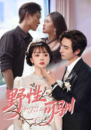 野性可驯（63集）这个短剧看着太上头了