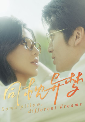 同枕异梦（50集）短剧大结局完美收官