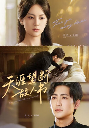 天涯望断故人书（60集）短剧推荐上热门