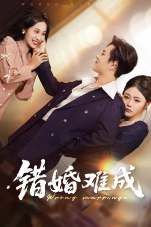 错婚难成（45集）免费观看最新热门短剧大结局