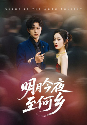 明月今夜至何乡（70集）短剧抢先看精彩无限量