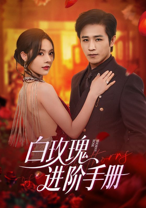 白玫瑰进阶手册（64集）短剧全集无删完整版