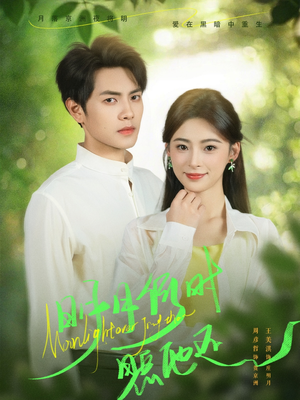 明月何时照他还（73集）免费观看精彩短剧