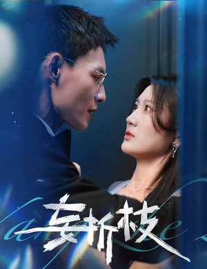 妄折枝（53集）短剧高分全集在线刷