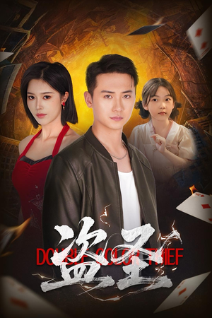 盗圣（63集）高质量短剧推荐