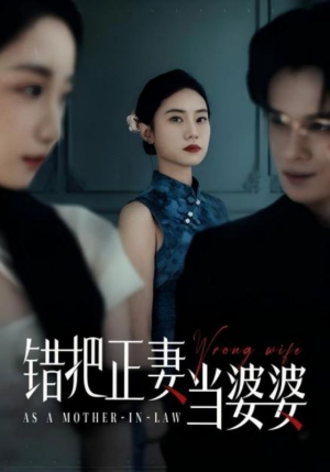 错把正妻当婆婆（46集）热播短剧推荐精彩片段