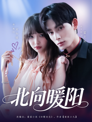 北向暖阳（80集）这个短剧太好看了