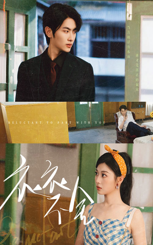 衣衣不舍（63集）最新短剧正在热播