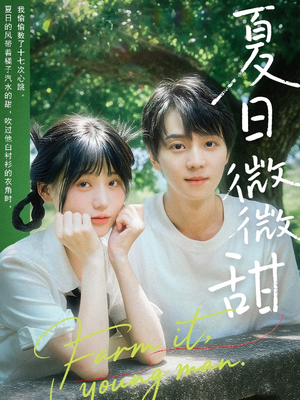 夏日微微甜（79集）越看越好看短剧