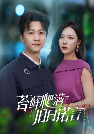 苔藓爬满旧日诺言（83集）最火短剧热播中