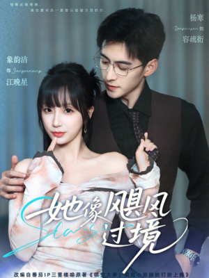 她像飓风过境（81集）精彩短剧看不停