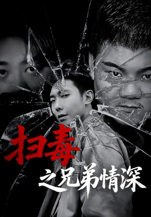 扫毒之兄弟情深（50集）火热短剧抢先看