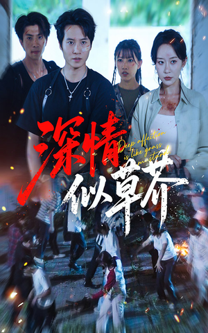 深情似草芥（51集）火爆短剧精彩片段