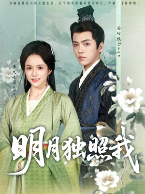 明月独照我（80集）短剧全集免费观看
