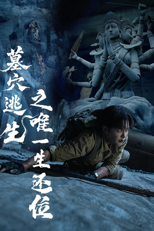 墓穴逃生之唯一生还位（70集）免费观看全集的短剧网站精选