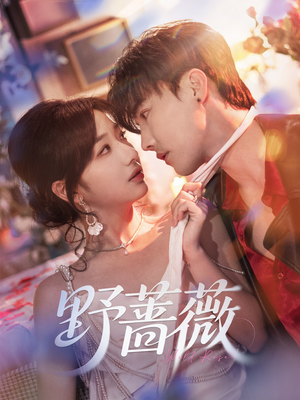 野蔷薇（60集）热播短剧全集看