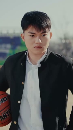 双龙逆战（89集）排行榜前十短剧