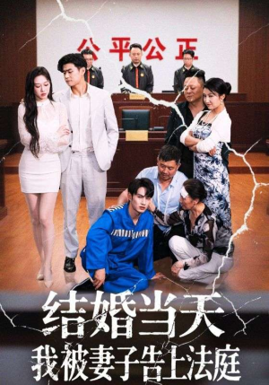 结婚当天我被妻子告上法庭（30集）真的太好看了短剧推荐