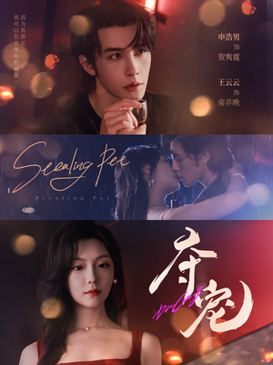 夺宠（88集）更新短剧精彩不断