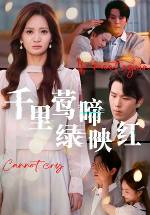 千里莺啼绿映红（63集）这个短剧太好看了吧