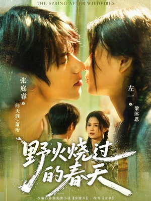野火烧过的春天（85集）全集免费在线观看短剧无广告