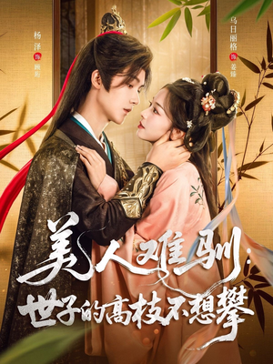 美人难驯世子的高枝不想攀（81集）精彩短剧追不停