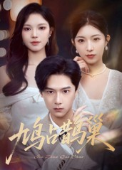 鸠占鹊巢（70集）短剧热播中抢先看