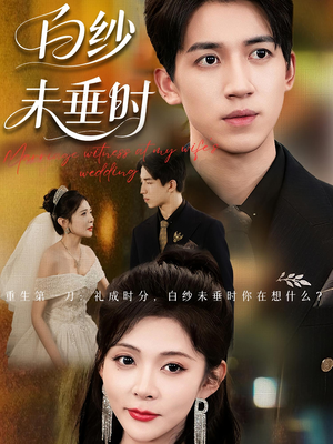 老婆婚礼，我当证婚人（54集）红果免费短剧看全集